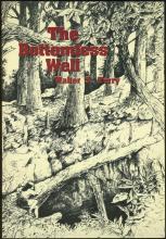 Bottomless Well by Walter Terry 1991 Southern Alabama Fiction