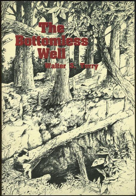 Bottomless Well by Walter Terry 1991 Southern Alabama Fiction