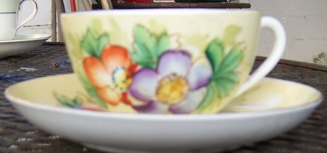Meito China Cup and Saucer Handpainted Flowers
