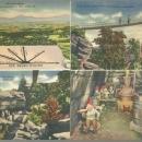 Vintage Unused Jumbo Postcard of Four Views From Rock City Gardens Tennessee