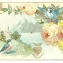 Victorian Trade Card for Peninsular Stoves with Blue Birds and Yellow Roses