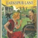 Password to Larkspur Lane by Carolyn Keene Nancy Drew #10 1933 with Dust Jacket