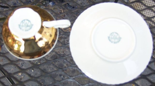 RW Bavaria Gold Lustre Demi Cup and Saucer