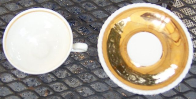 RW Bavaria Gold Lustre Demi Cup and Saucer