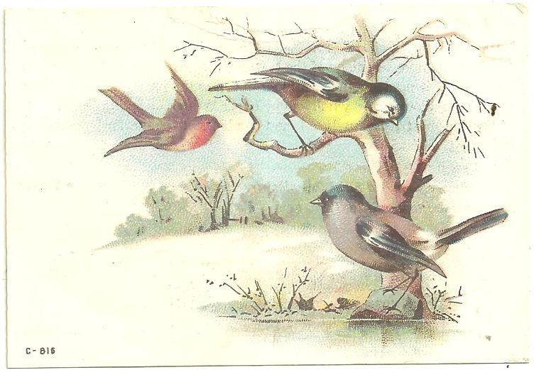 Victorian Trade Card Vienna Roller Mills Flour With Birds in a Snowy Landscape