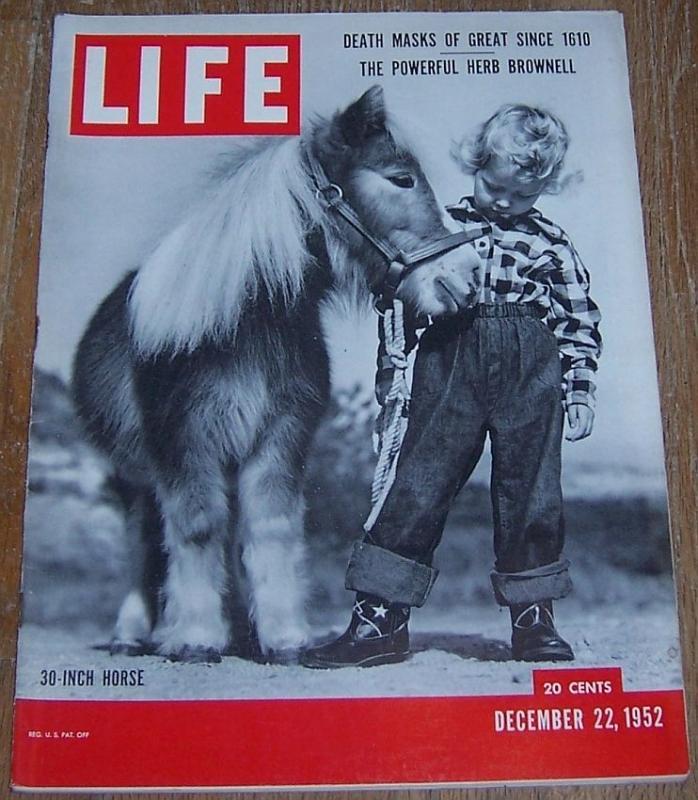 Life Magazine December 22, 1952 30 Inch Horse On Cover Horses Smaller Than a Dog