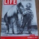 Life Magazine December 22, 1952 30 Inch Horse On Cover Horses Smaller Than a Dog