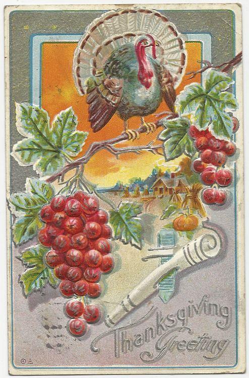 Thanksgiving Greetings Postcard with Turkey on Branch and Fall Landscape 1911