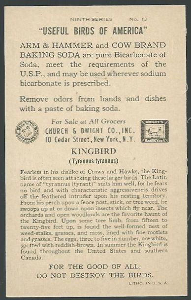 Victorian Trade Card for Arm and Hammer Useful Birds Series The Kingbird