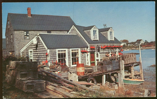Vintage Postcard of A Maine Fisherman's Shack