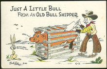 Petley Comic Postcard of Little Bull From Bull Shipper