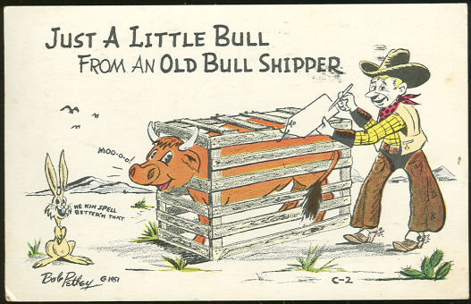 Petley Comic Postcard of Little Bull From Bull Shipper