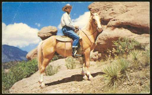 Postcard of Cowboy on Horseback Halted to Survey