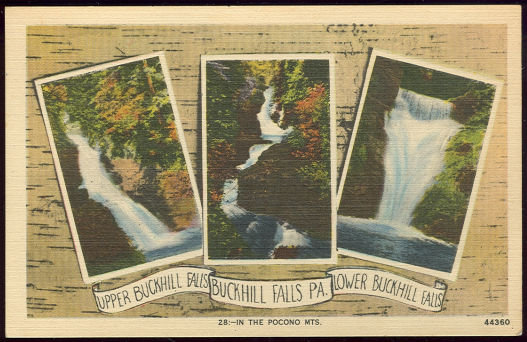 Postcard of Buckhill Falls Pennsylvania in the Poconos