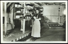 RPPC of Young Dutch Lady with Cheese Drycaffold