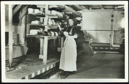 RPPC of Young Dutch Lady with Cheese Drycaffold