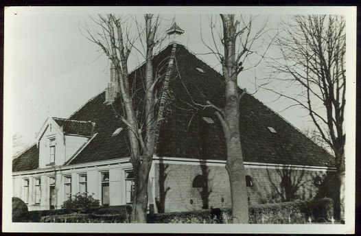 Real Photo Postcard of Model Farm in North Holland