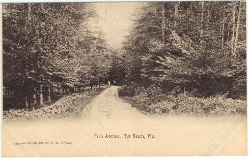 Postcard of Fern Avenue, Rye Beach, Maine