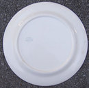 Vintage W.S. George China Derwood Dinner Plate