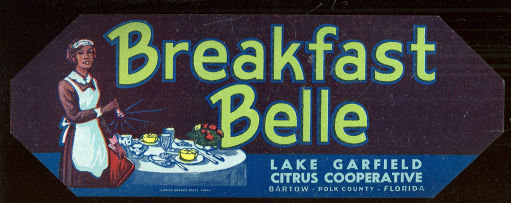 Breakfast Belle, Lake Garfield Citrus Coop Can Label