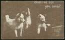 Postcard of Three Puppies Shall We See You Soon