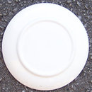 Blue Ridge Southern Dogwood Skyline Small Plate