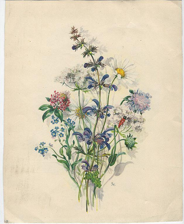 Wildflower Bouquet Print Copyright by Stehhli Freres, Zurich, Switzerland