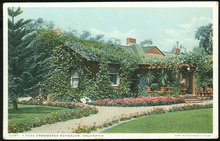 Postcard of A Rose Embowered Bungalow, California