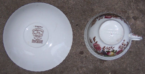 Johnson Bros England Windsor Ware China Pomona Cup and Saucer
