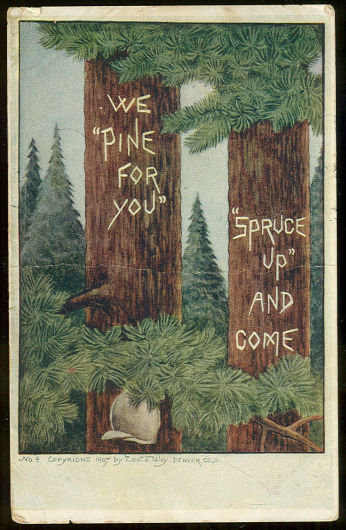 Postcard of Pine Trees, We Pine For You, Spruce Up 1907