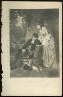Asleep in the Wood Page from 1876 Peterson's Mag