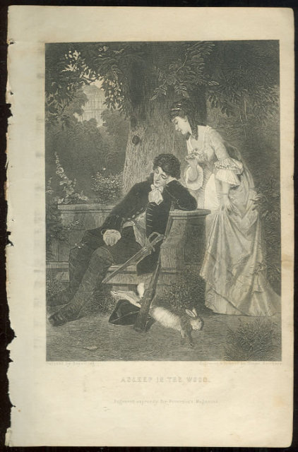Asleep in the Wood Page from 1876 Peterson's Mag