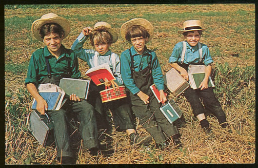 Postcard of Group of Amish School Boys Resting