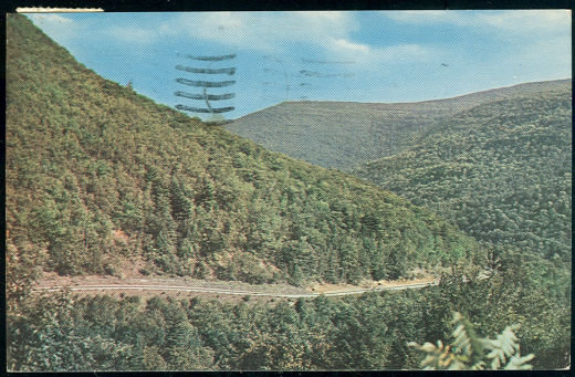 Postcard of Rip Van Winkle Trail, Catskill Mts, NY 1958