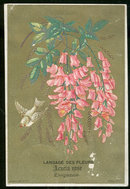 French Artificial Flowers Victorian Trade Card