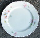 Homer Laughlin Newell Plate with Helene Floral Design