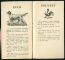 Booklet for German Distemper Remedy for Livestock 1906