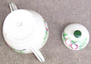 Made in Japan Sugar with Fruits and Leaves Green Trim