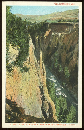 Needle in Grand Canyon, Yellowstone National Park 23480
