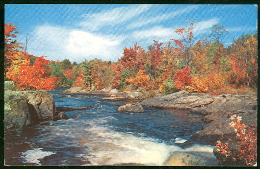 Postcard of Fall Landscape Greetings From Indiana
