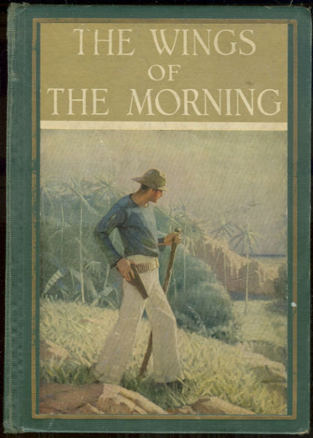 Wings of the Morning by Louis Tracy 1924 Illustrated