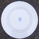 Royal Albert Bone Chine Plate Bright Yellow Flowers