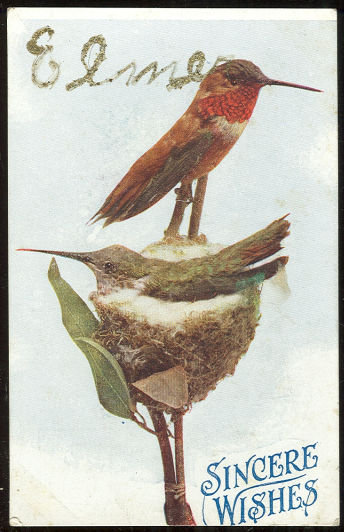 Postcard of Male and Female Bird on Nest Sincere Wishes