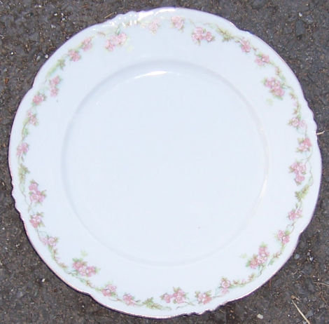 Vintage Austrian Dinner Plate with Pink Flowers