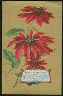 Gold Postcard of Poinsettias Offering Good Wishes