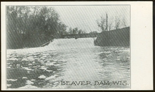 Beaver Dam, Wisconsin Undivided Postcard