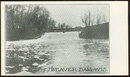 Beaver Dam, Wisconsin Undivided Postcard
