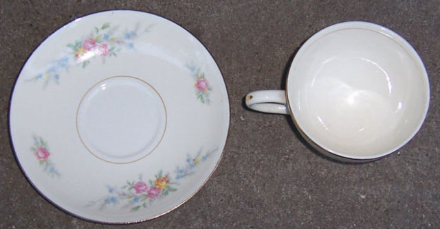Vintage Homer Laughlin Pottery Ferndale Cup and Saucer