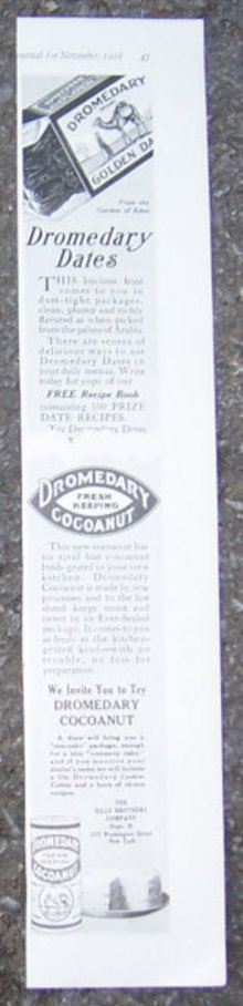 Dromedary Dates and Cocoanut 1916 LHJ Advertisment