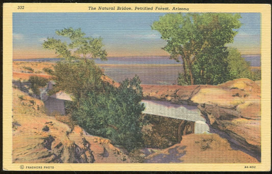 Postcard of Natural Bridge Petrified Forest, Arizona